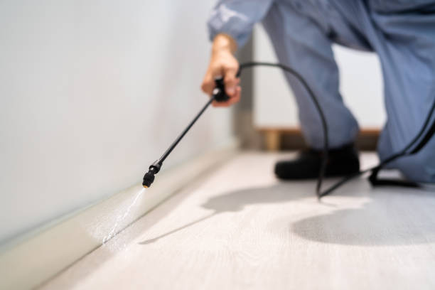 Professional exterminator conducting IPM assessment in Advance